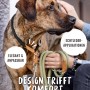 Schwarzes Rudelkönig Zugstopphalsband Größe 7 am Hund, verstellbares Nylon mit Lederdetails.