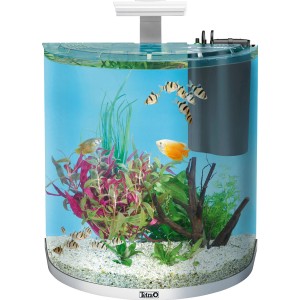 Tetra AquaArt Explorer Line Tropical LED Aquarium-Set, 60 l, weiß, mit Fischen und Pflanzen.