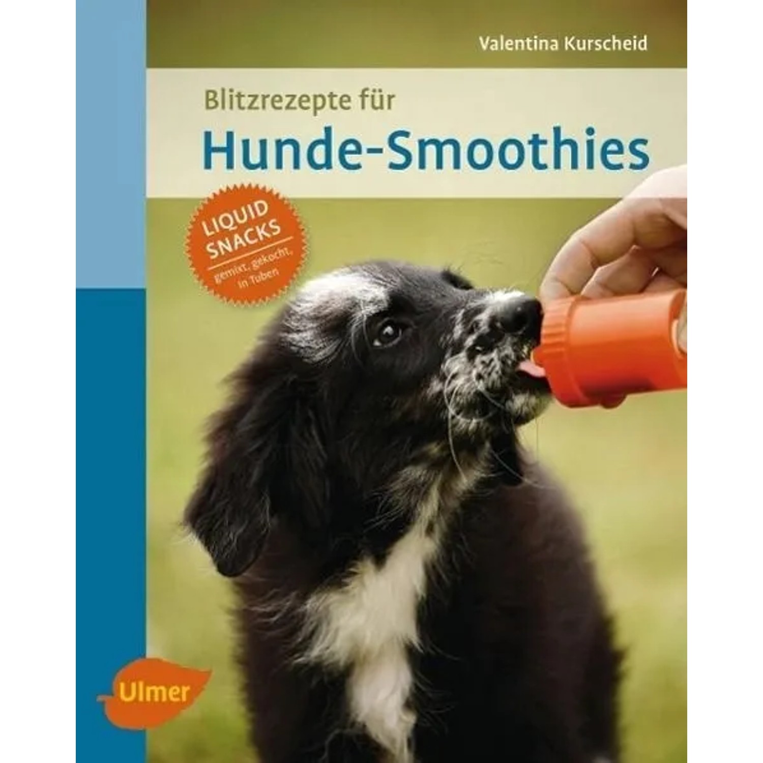 Blitzrezepte für Hunde-Smoothies