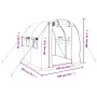 vidaXL Gewächshaus mit Stahlrahmen Grün 4 m² 2x2x2 m 364073_12