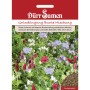 Dürr Samen Gründüngung Bunte Mischung, Saatgut für eine vielfältige Blumenwiese.