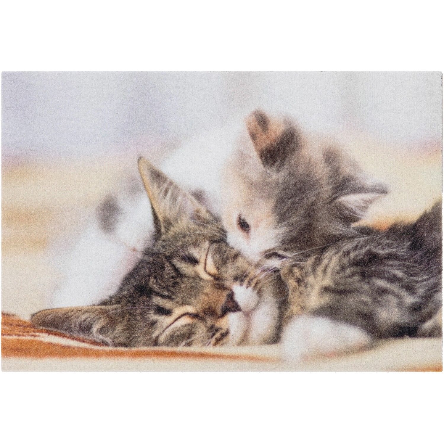 Astra Sauberlaufmatte Deco Print 40 x 60 cm Kitten