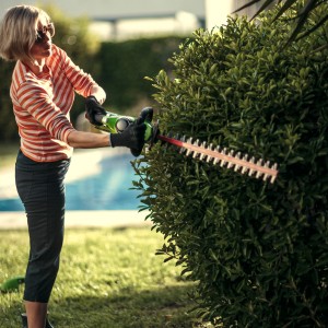 Frau schneidet Hecke mit Greenworks Akku-Heckenschere G40HT61K2 Set. Inkl. Akku und Ladegerät.