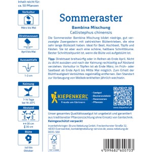 Kiepenkerl Sommeraster Bambina Mischung Saatgut, blühende Blumenmischung für Beet und Balkon.