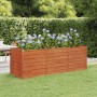 Rechteckiges, rostfarbenes vidaXL Hochbeet (240x80x77 cm) aus Cortenstahl mit blühenden Hortensien im Garten.