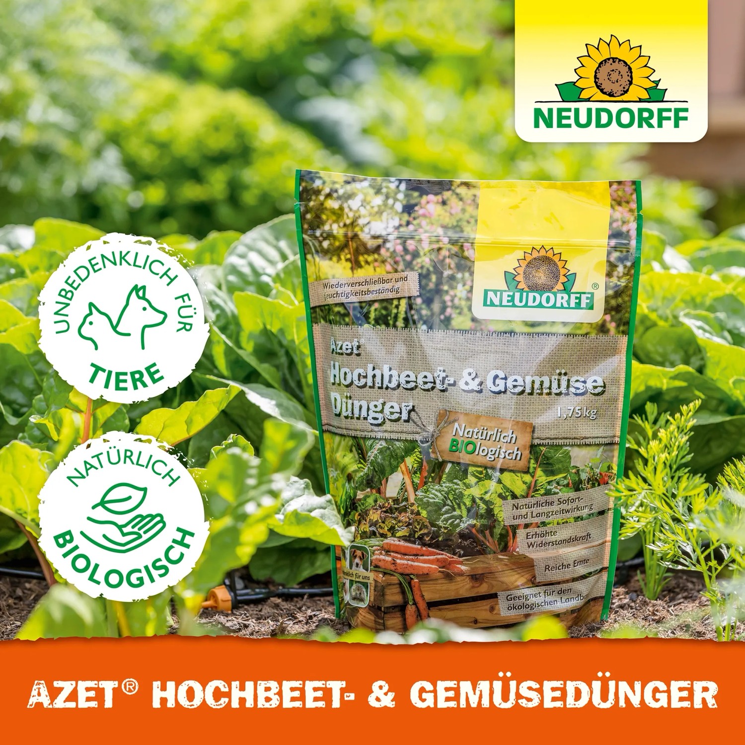 Neudorff Azet Hochbeet- und Gemüse Dünger 1,75 kg im Beutel vor Beet mit Gemüse.