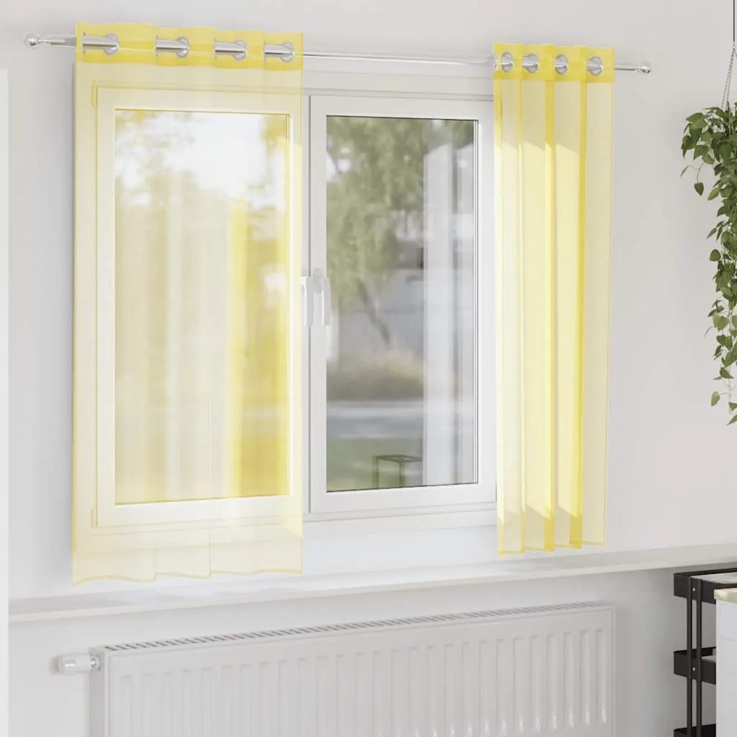 Zwei gelbe Voile Vorhänge mit Ösen am Fenster, halbtransparent, für hellen Sichtschutz.