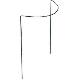 Peacock Strauchstütze, 35x35 cm, aus verzinktem Stahl für Gartenpflanzen.