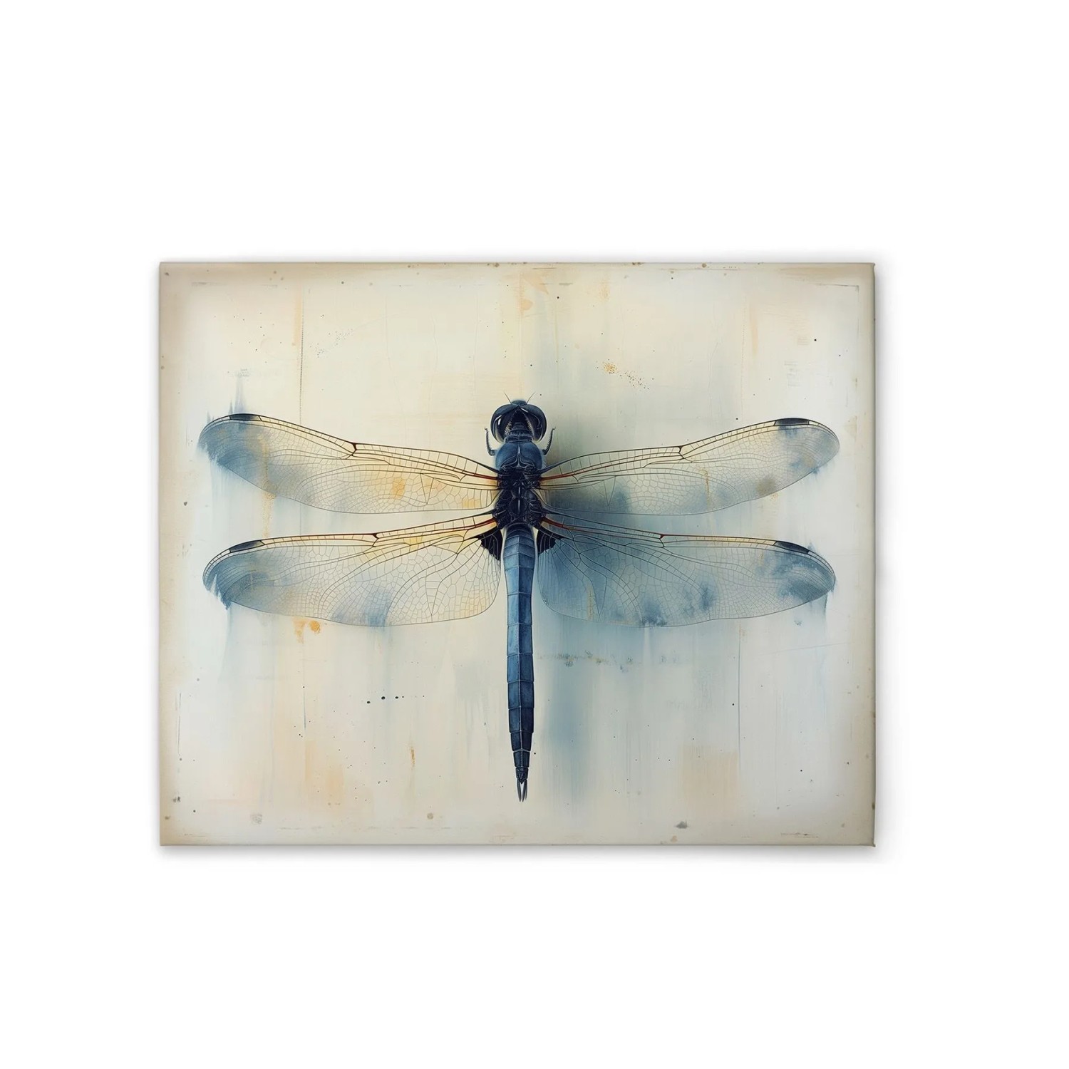 Tadessi Leinwandbild - M1-No.51790 - Libelle Vintage Blau - 50 x 40 cm - Hochformat