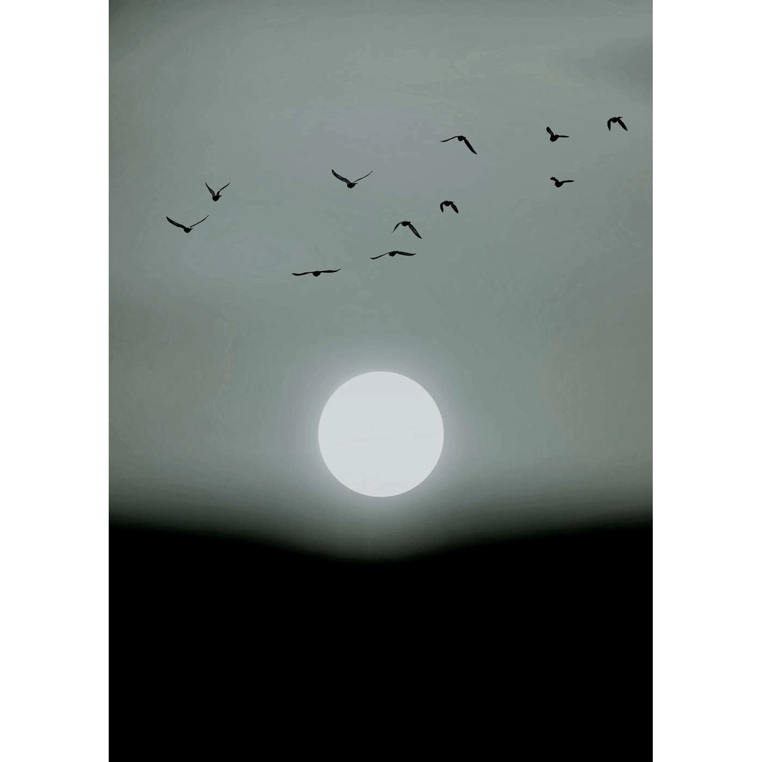 Fototapete Vögel Mond Nebel Weiß Grau Schwarz  2,00 m x 2,80 m FSC®