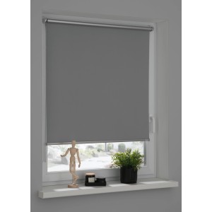 Schöner Wohnen Thermo-Rollo Martha, 45x150 cm, hellgrau, verdunkelnd und energiesparend.
