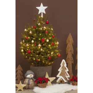 Geschmückte Gemeine Fichte (Picea Abies) im Topf mit Weihnachtskugeln und Lichterkette.