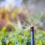 Rain Bird Versenksprüher R-VAN 24 IG in Aktion: Bewässerung mit einstellbarer Sprühweite im Garten.