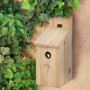 Nistkasten aus Tannenholz mit Klappdach und Sitzstange, ein Vogel schaut aus dem Einflugloch. Für Wildvögel.