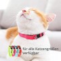 Katze trägt pinkes Leuchthalsband. Verschiedene Farben (grün, blau, orange) und Größen verfügbar. USB aufladbar.