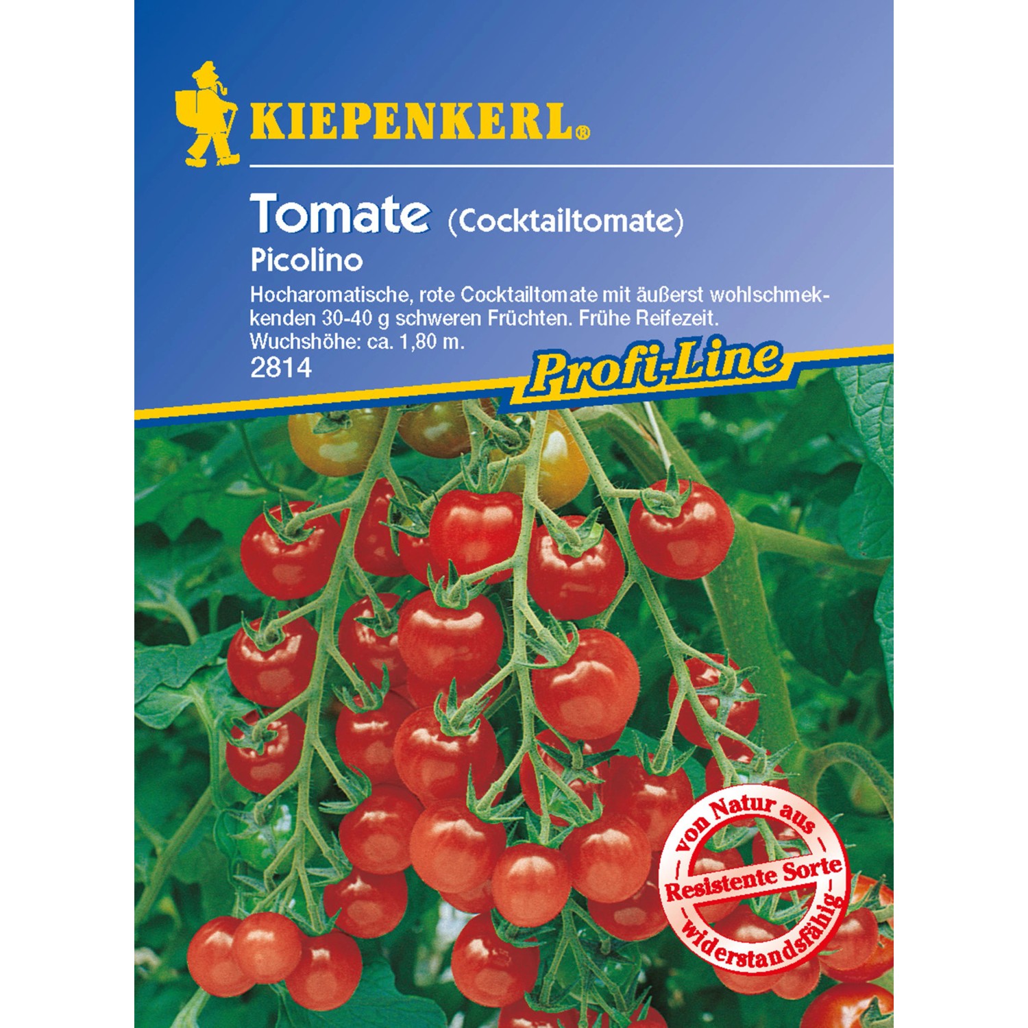 Kiepenkerl Cocktail Tomaten Picolino F1