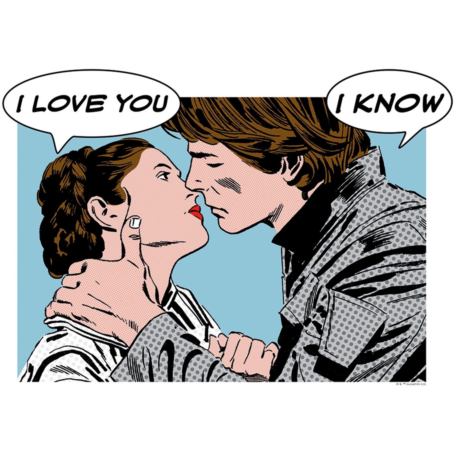 Komar Wandbild Star Wars Leia Han 40 x 30 cm