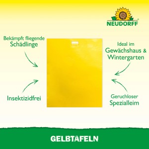 Neudorff Gelbtafeln groß zur Schädlingsbekämpfung im Gewächshaus und Wintergarten.