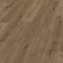 Click-Vinylboden Jasmund Eiche, Detailansicht der Oberfläche mit Holzstruktur.