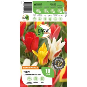 GROW by OBI Tulpen Peacock Mischung. Bunte Tulpen in Rot, Gelb, Weiß auf Verpackung. 8 Blumenzwiebeln.