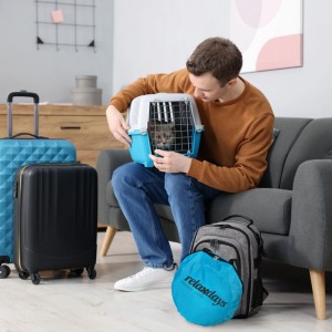 Relaxdays Katzentunnel mit Spielzeug Polyester Grau Faltbar 90 cm x 25 cm 190 g