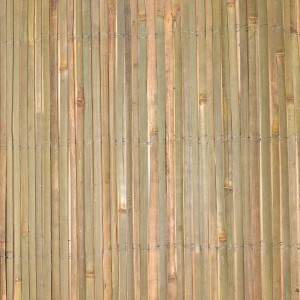 Sol Royal SolVision B89 Sichtschutzzaun 80x600cm Bambus
