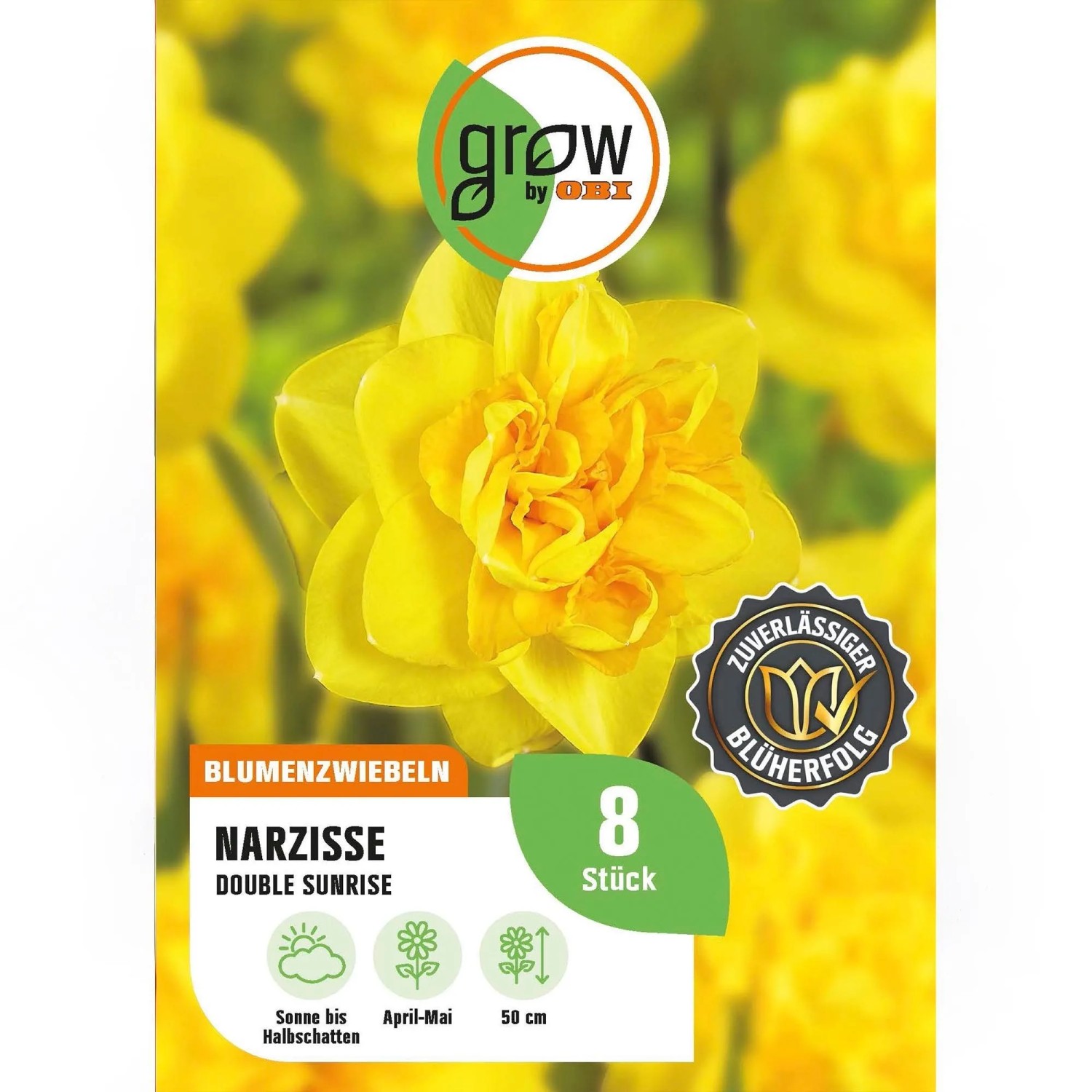 GROW by OBI Narzisse Double Sunrise 8 Stück Narcissus double Double Sunrise