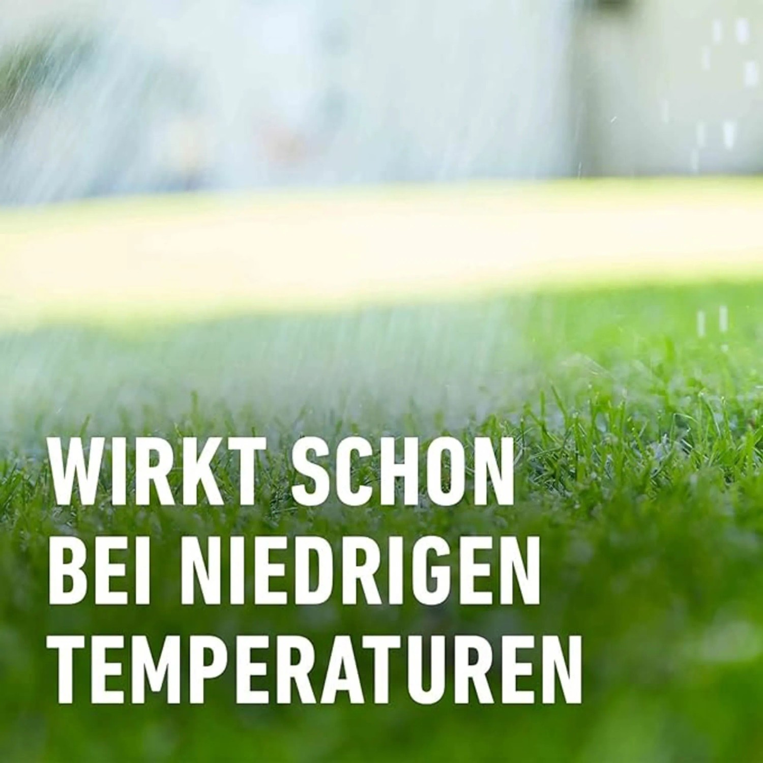 Nahaufnahme von Rasen mit dem Text "Wirkt schon bei niedrigen Temperaturen" für Compo Rasen-Langzeitdünger.