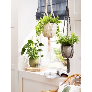 Scheurich Hängeampeln in Vanille und Grau mit Makramee-Aufhängung und grünen Pflanzen.