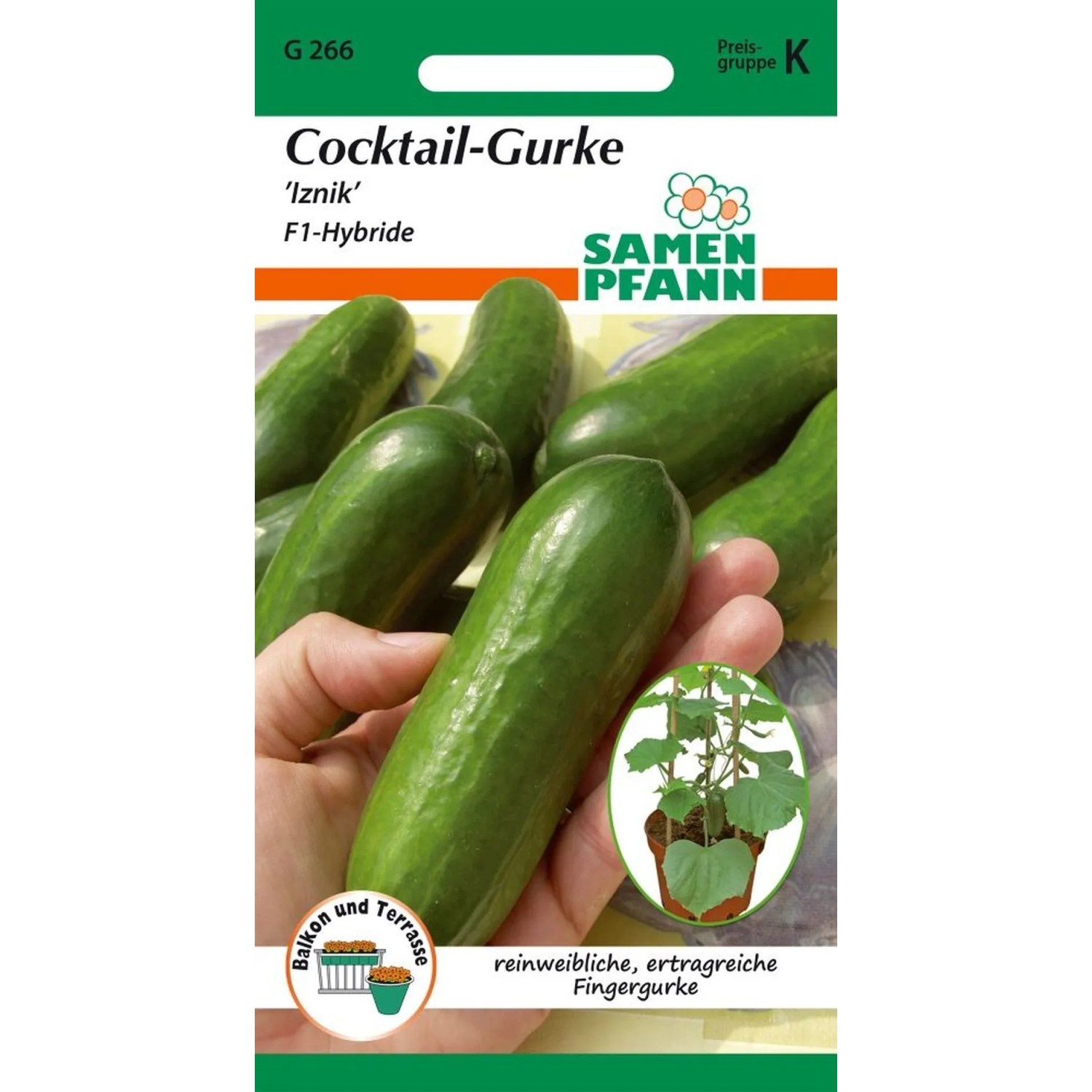 SAMEN PFANN Cocktail-Gurke Iznik F1 Rocky