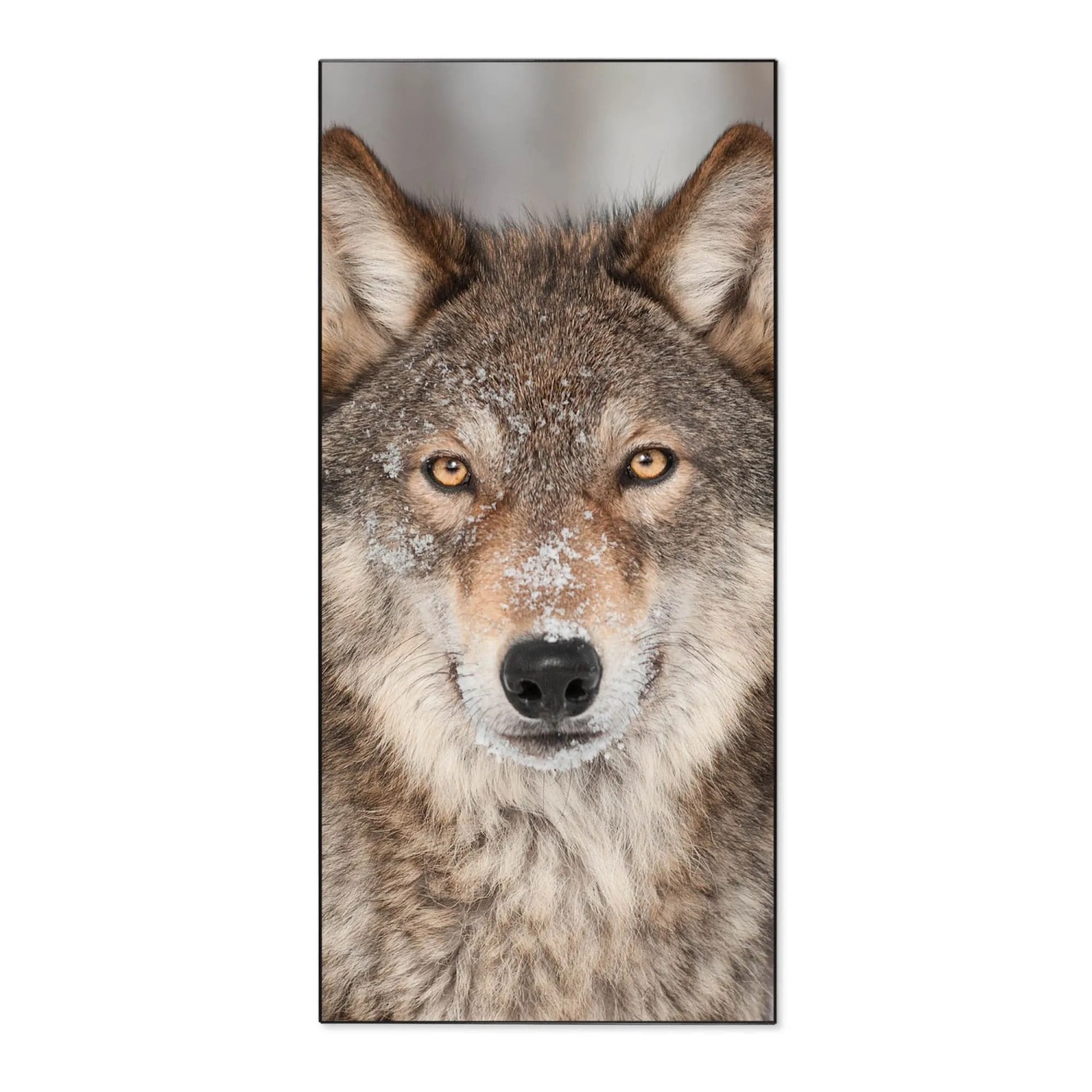 Banjado Magnettafel 37x78cm Magnetwand  Schwarz Aus Metall Magnetpinnwand P günstig online kaufen