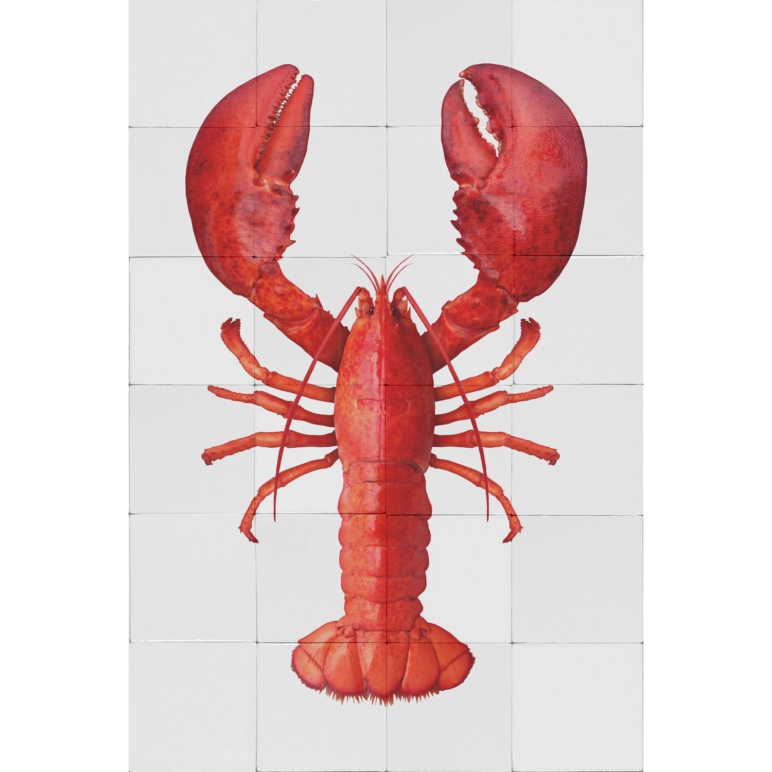 ESTAhome Wandtattoo Hummer Rot 70 x 46,5 cm 159035 günstig online kaufen