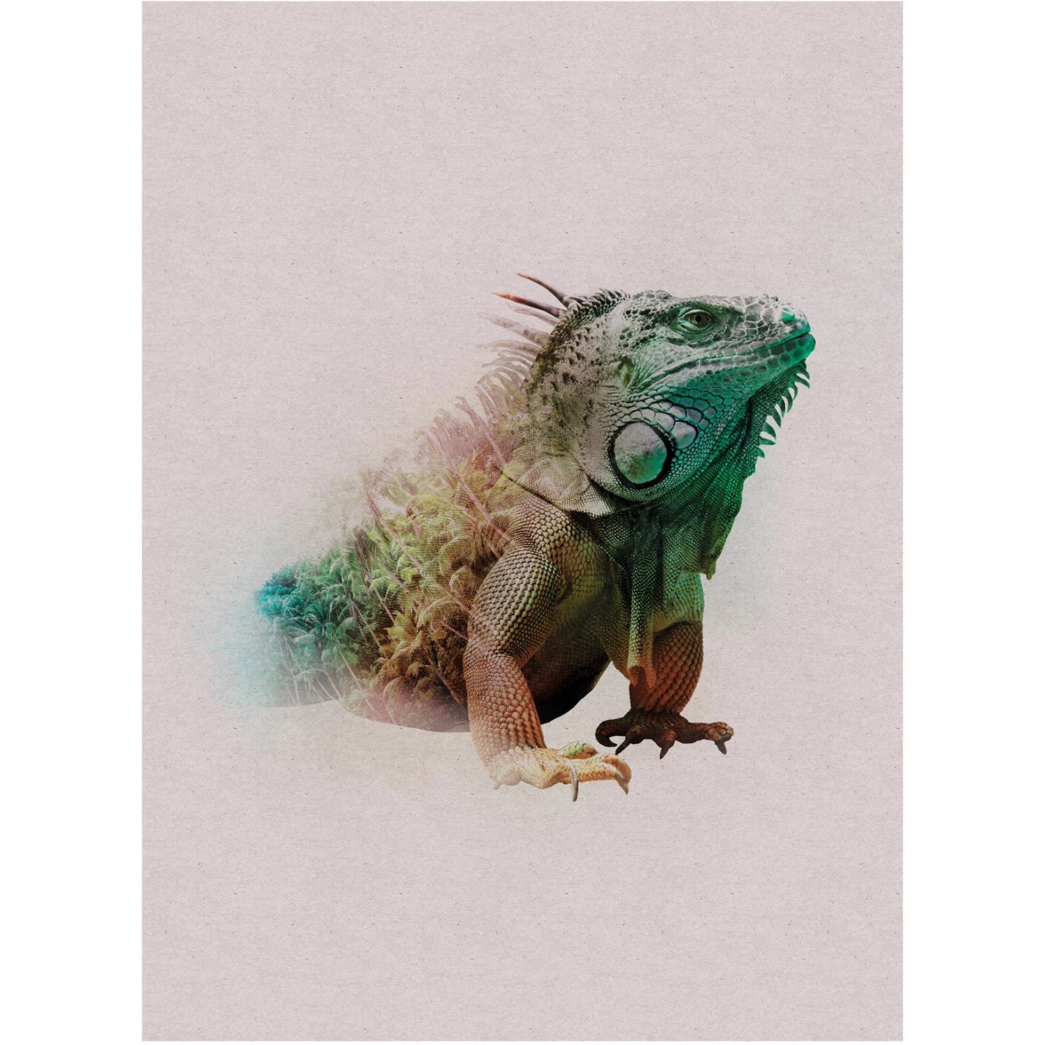 Komar Wandbild Animals Iguana 30 x 40 cm