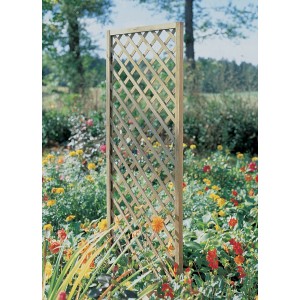 Holz Rankgitter, druckimprägniert, 180x80cm, als Kletterhilfe und Sichtschutz im Garten.