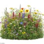 Farbenfrohe LaCaTho Nektar-Pollen-Mischung mit vielfältigen Wildblumen, Sonnenblumen und Lupinen. Ideal für Bienenweide.