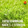 Vorox Unkrautfrei Express: Detailaufnahme von Rasen mit dem Hinweis 'Expresswirkung nach 1-3 Stunden'.