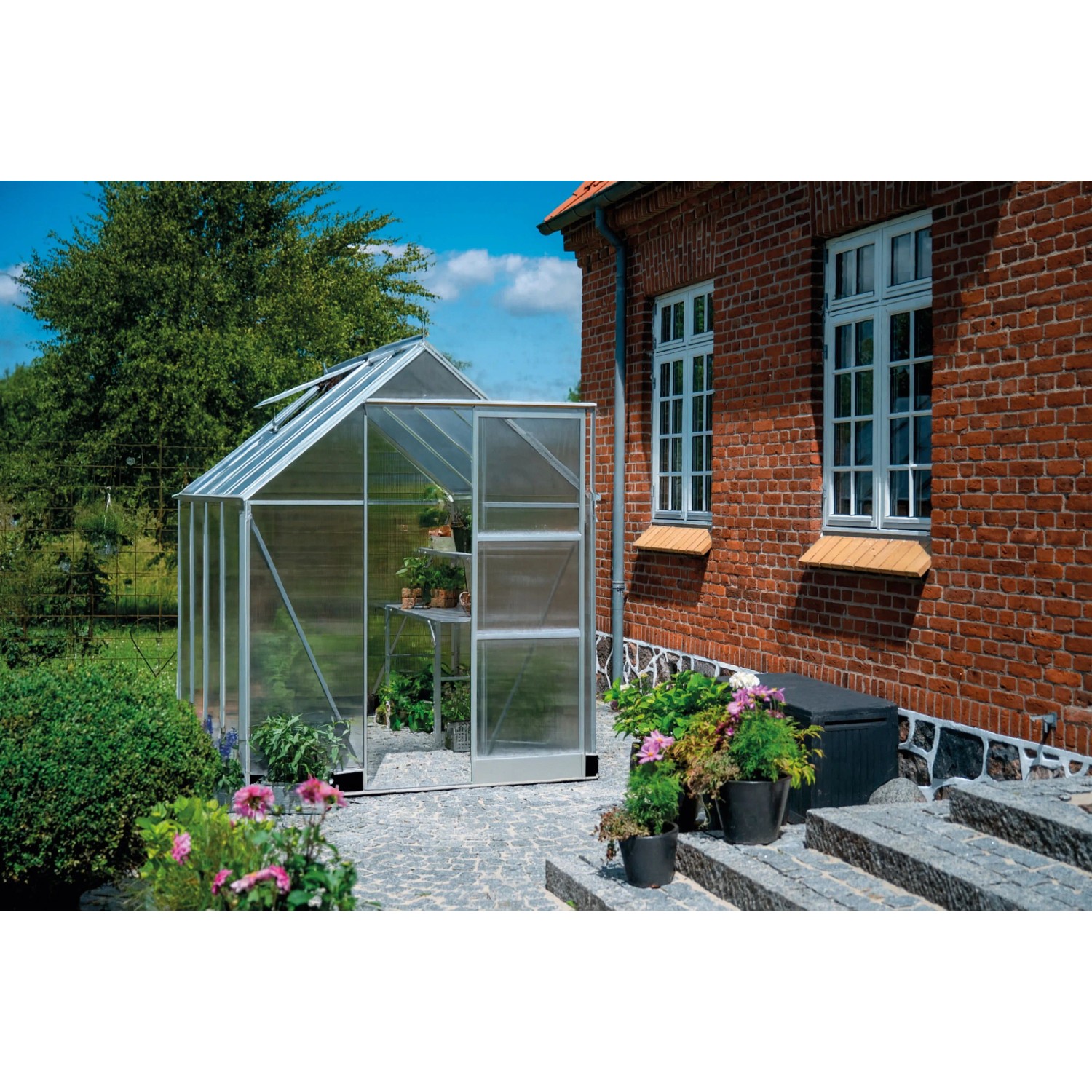 Halls Gewächshaus Icon 6 Alu 4,9 m² günstig online kaufen