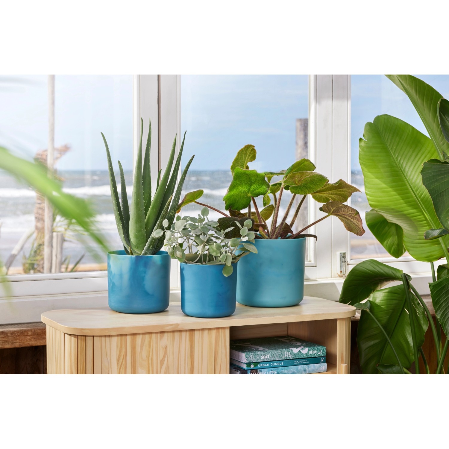 Drei atlantikblaue Elho Übertöpfe Ocean Collection (Ø 16 cm) mit Pflanzen auf einem Tisch vor einem Fenster.