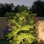 Beleuchteter Baum mit Paulmann Plug&Shine Erdspieß-Set im Garten, warmweißes Licht.