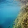 Unterwasseraufnahme von Felsen mit Fischen, passend zu JBL Pronovo Malawi Flakes Fischfutter.