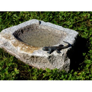 Granit-Vogeltränke mit Bronze-Eidechse als Gartendeko. Naturstein mit Wasser und Skulptur.