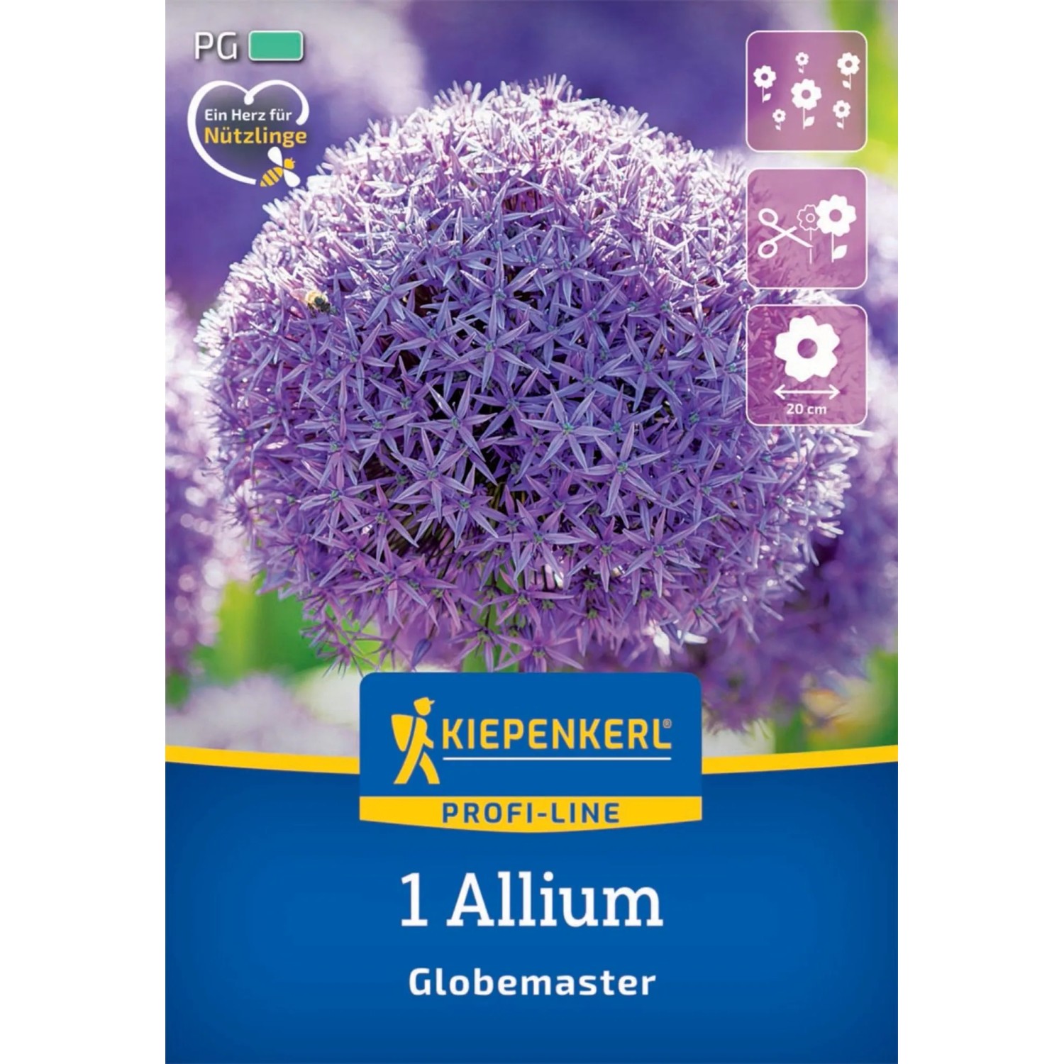 Kiepenkerl Blumenzwiebel Profi-Line Zierlauch Globemaster 1 Stück