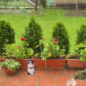 Bunter Gartenzwerg Regenmesser aus Polyresin mit Messröhrchen im Garten bei Regen. Dekorative Niederschlagsmessung.