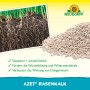 Neudorff Azet Rasenkalk: Kalkgranulat und Rasenwurzeln für gesunden, grünen Rasen.