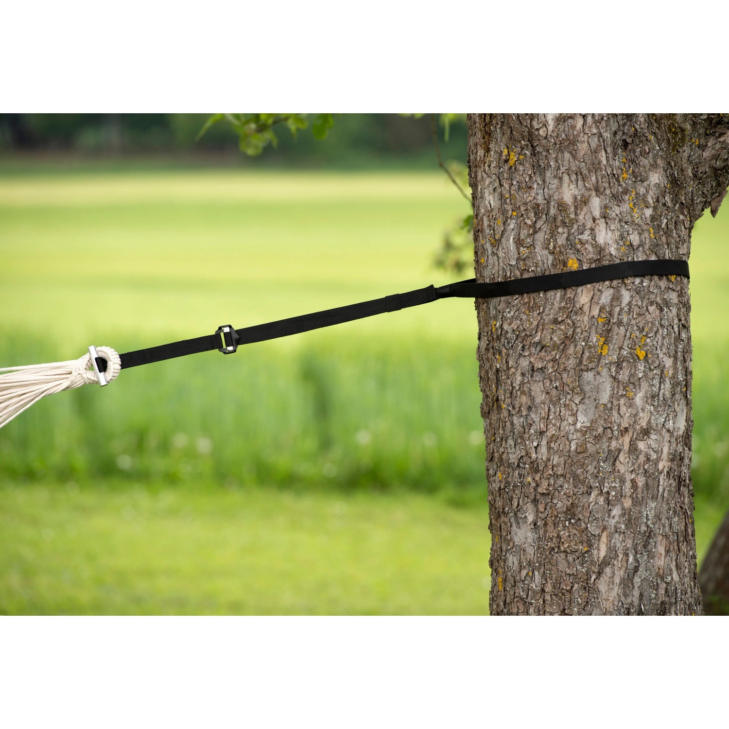 Schwarzes T-Strap Hängegurt-Set zur Befestigung einer Hängematte an einem Baum.