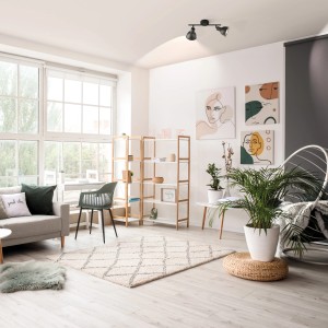 Schwarze, 2-flammige Fischer & Honsel Deckenleuchte Speedy im modernen Wohnraum.