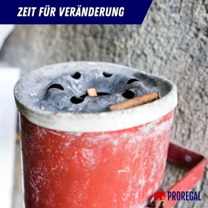 PROREGAL Wand-Aschenbecher Set, feuerlöschend, Edelstahl, silber, 2 Liter.