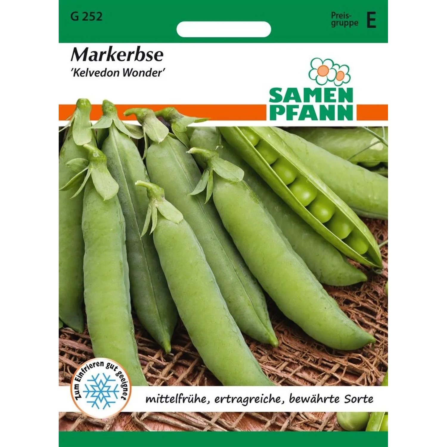 SAMEN PFANN Markerbse Wunder von Kelvedon