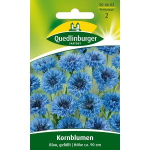 Quedlinburger Kornblume 'Blau gefüllt', einjährige Sommerblume für Bauerngärten. Blaue, gefüllte Blüten.