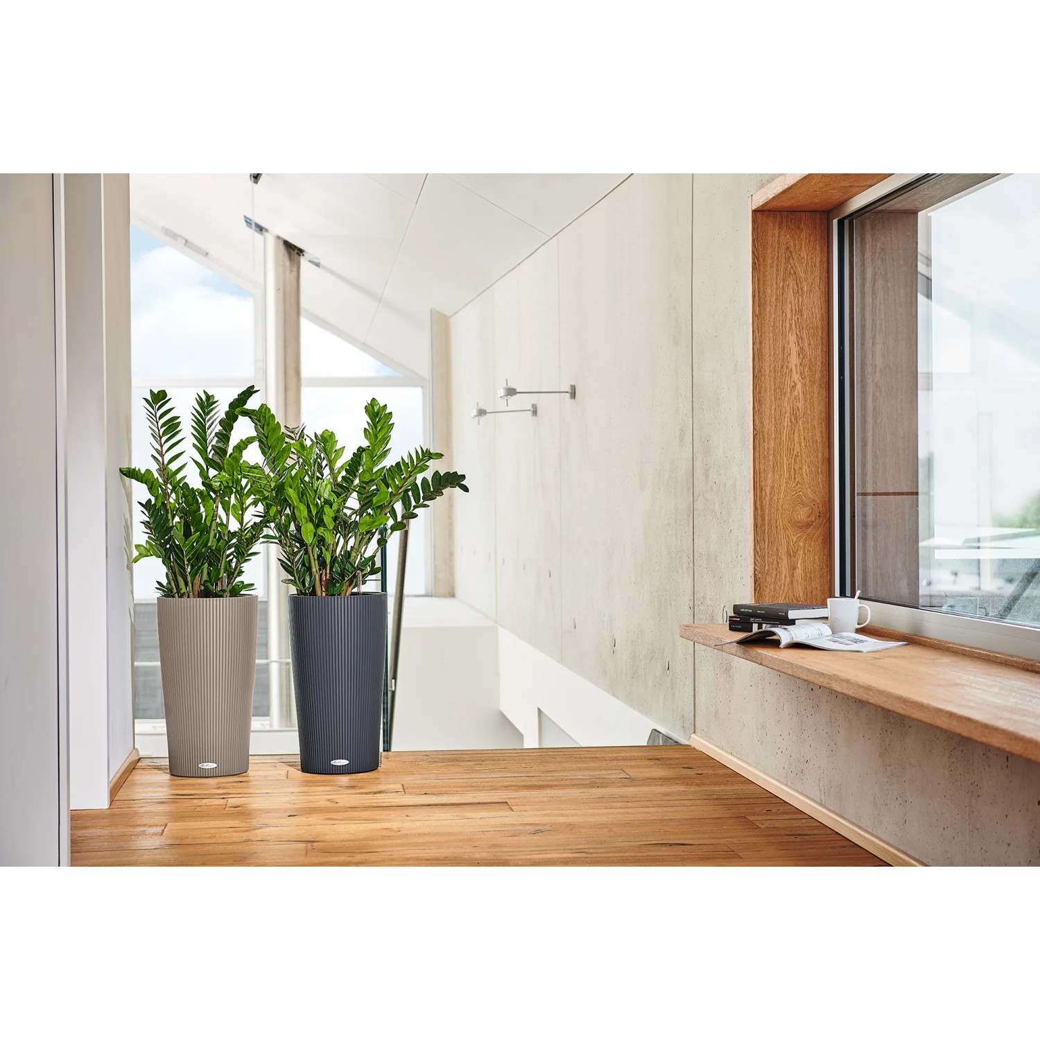 Zwei Lechuza Cilindro Color Pflanzgefäße in Schiefergrau und Grau mit Pflanzen im modernen Wohnraum.